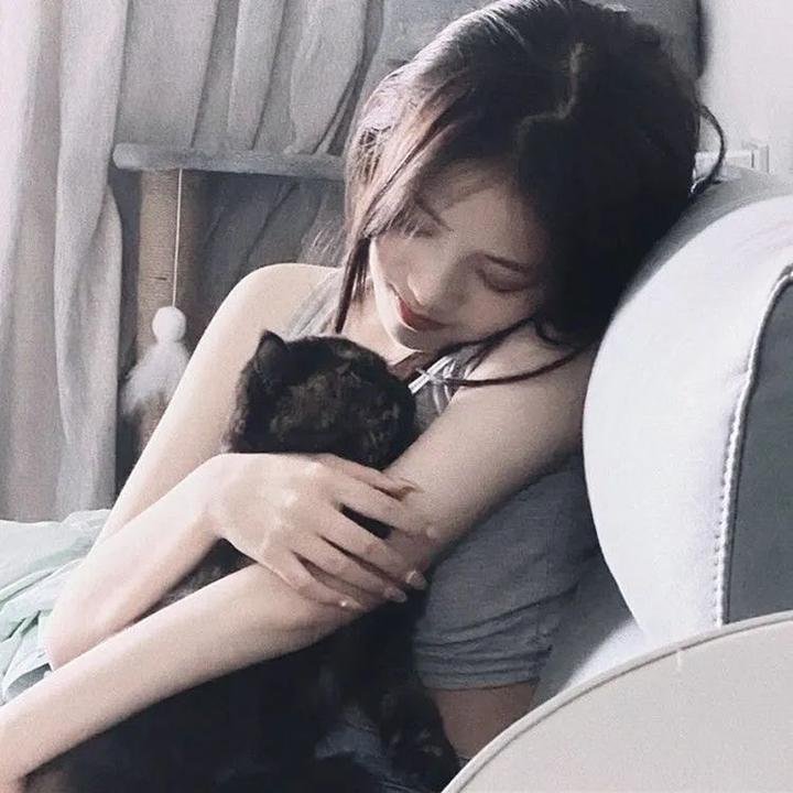玫瑰的故事